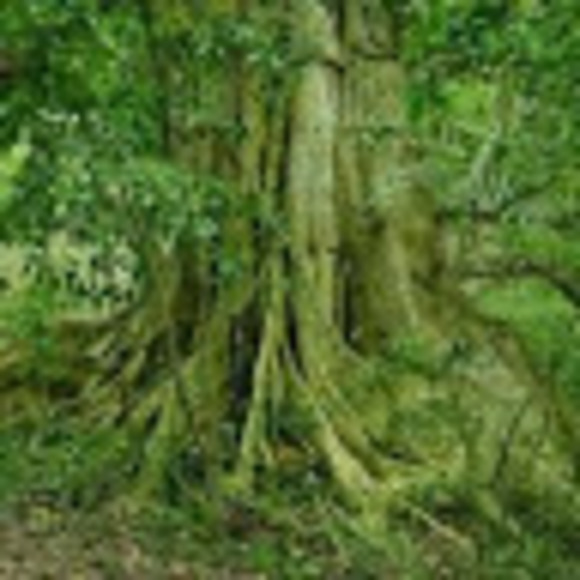 Meet your Posher, Marcel - Picture 1 of 1